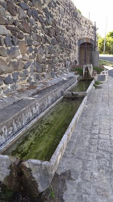 Bergonne La Maisonnette Sous Le Cerisier מראה חיצוני תמונה